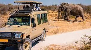 Amboseli
