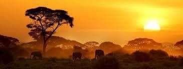 Amboseli