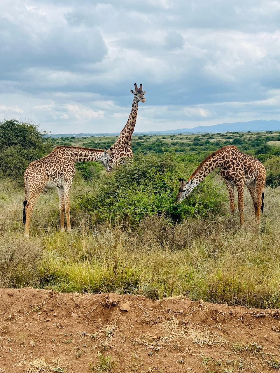 Nairobi photo 4