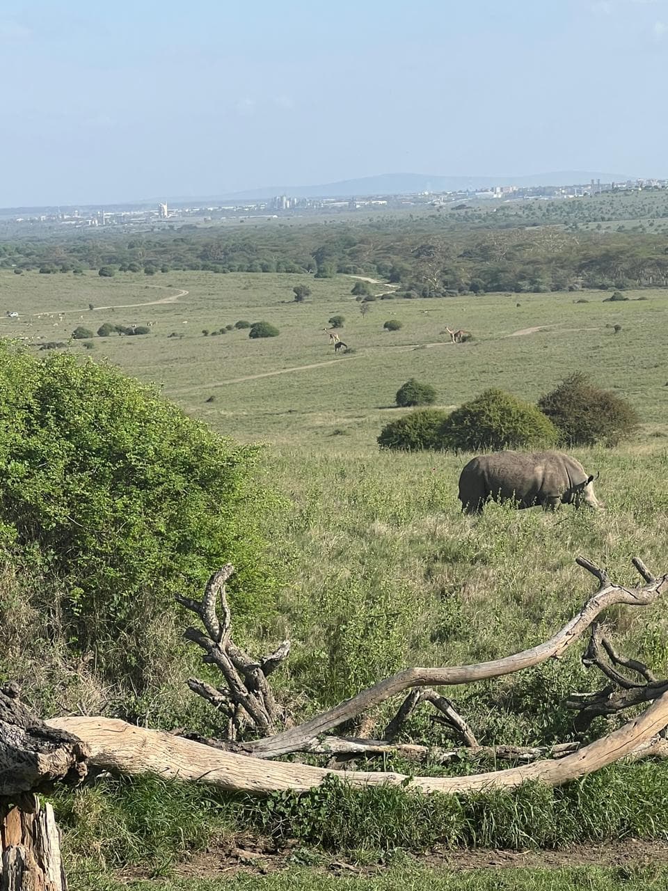 Nairobi Signature Day Experience