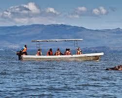 Boat on Lake Naivasha