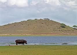 Full day game drive